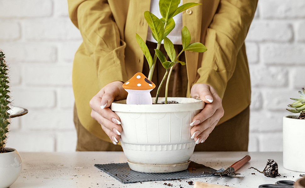 plant watering